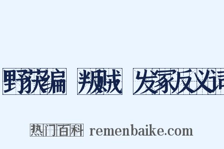野获编·叛贼·发冢反义词是什么意思的图片